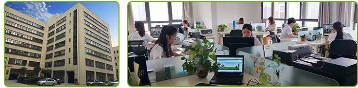 Our Company
