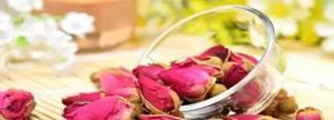 Honeysuckle Flower Extract Powder+The roses