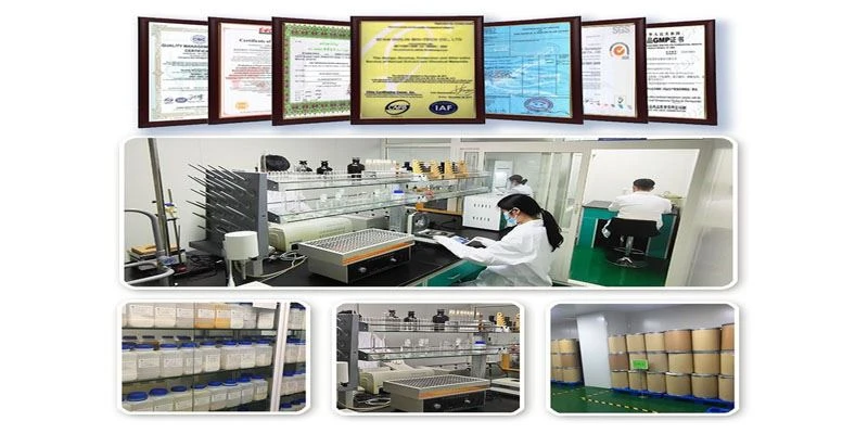 Alisma Extract Powder4 Alisma Extract Powder4