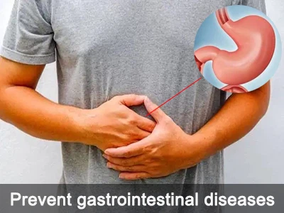 Allantoin prevents digestive diseases