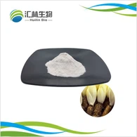 پودر اینولین کاسنی