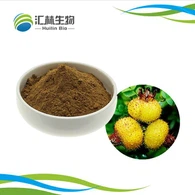پودر عصاره گلابی خاردار