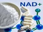 بهینه سازی NAD+: شیرجه عمیق B2B به پودر ریبوزید نیکوتین آمید